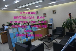 周口本地ppp项目特色小镇项目公司