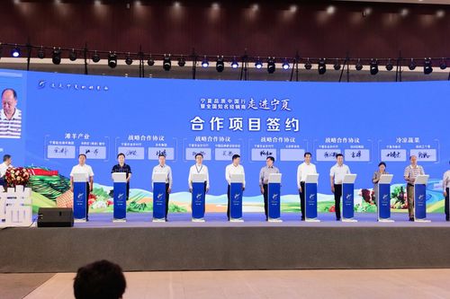 技术创新 品牌建设加持 助力宁夏农业绿色发展