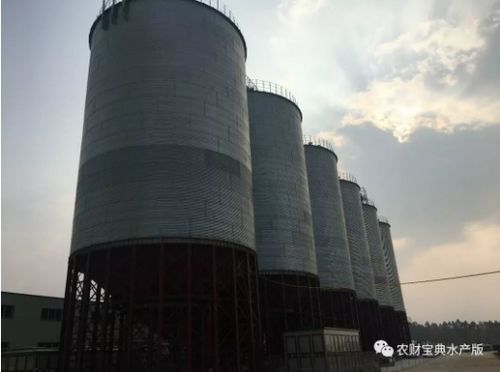 投2亿元建30万吨大饲料厂 开业当天就锁定6万吨销量 汇海进入大爆发快车道