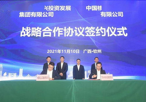 双招双引 广西钦州市打造城乡融合发展标杆与建设集团实践